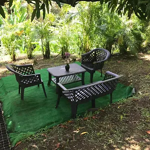 Coconut Appartement